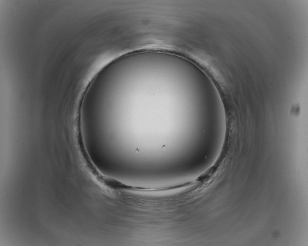 X0000097501375200802221435