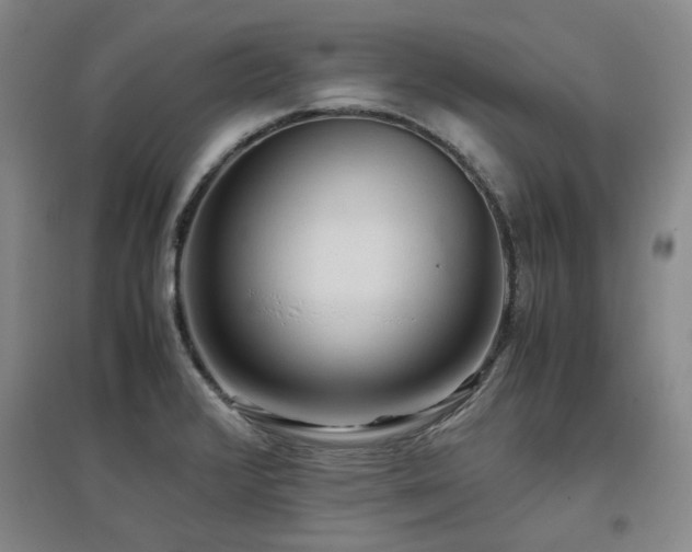 X0000097501376200802221435