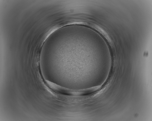 X0000097501377200802221435