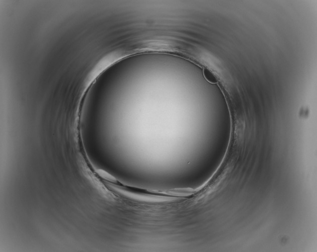 X0000097501378200802221435