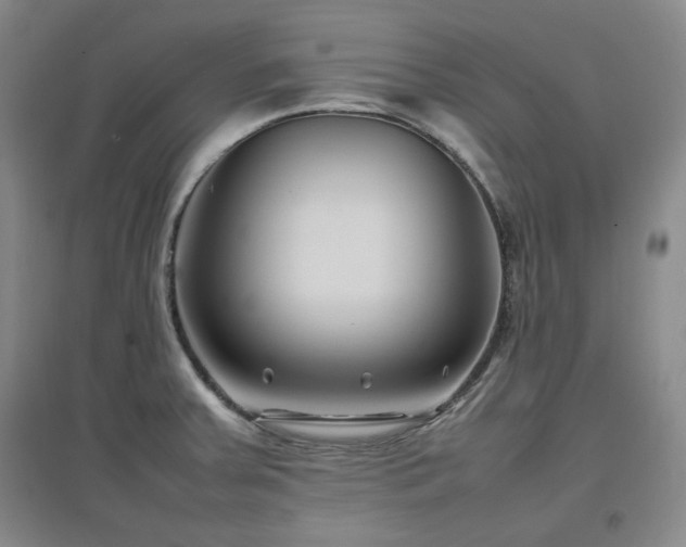 X0000097501379200802221435