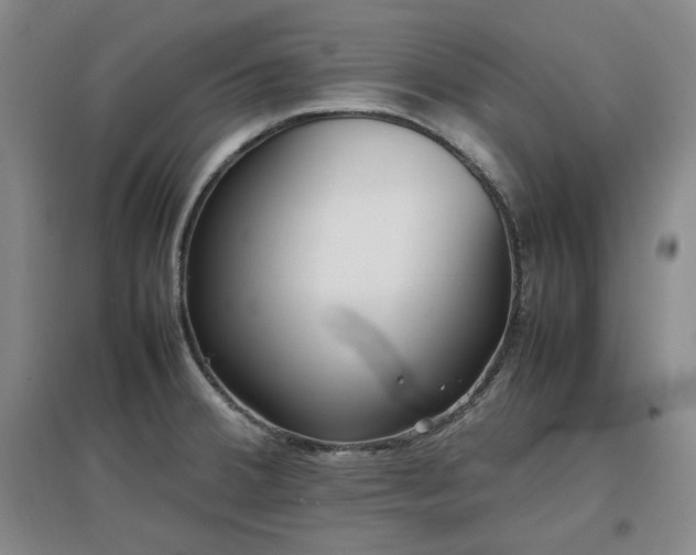X0000097501380200802221435