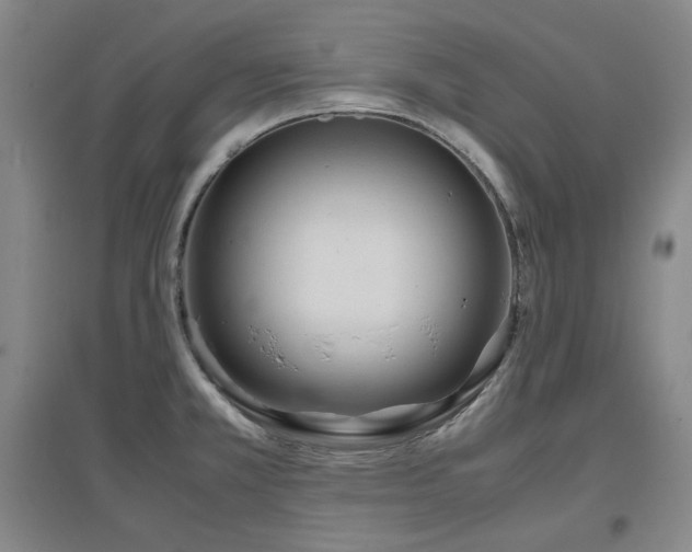X0000097501381200802221435