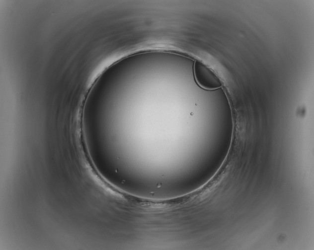 X0000097501382200802221435