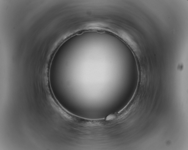 X0000097501384200802221435