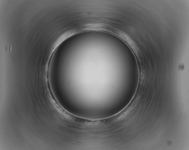 X0000097501386200802221435