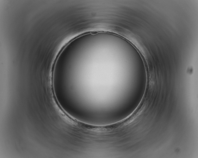 X0000097501388200802221435