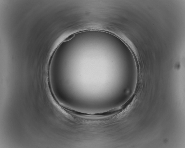 X0000097501389200802221435