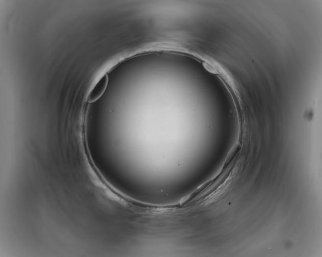 X0000097501390200802221435