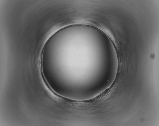 X0000097501391200802221435
