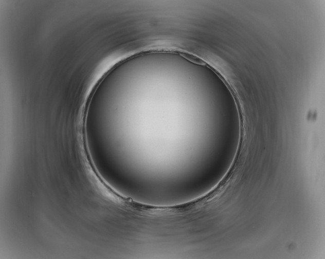 X0000097501392200802221434