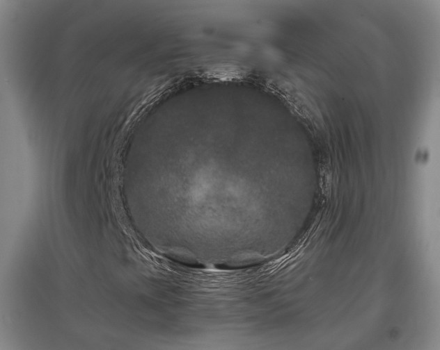 X0000097501393200802221434