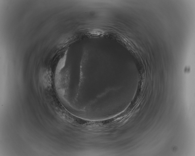 X0000097501394200802221434