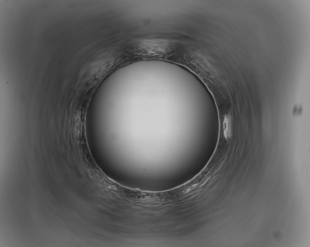 X0000097501395200802221434