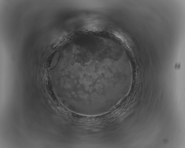 X0000097501397200802221434
