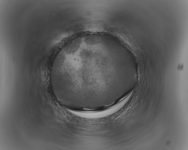 X0000097501398200802221434
