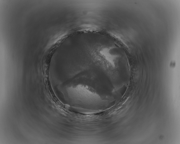 X0000097501399200802221434
