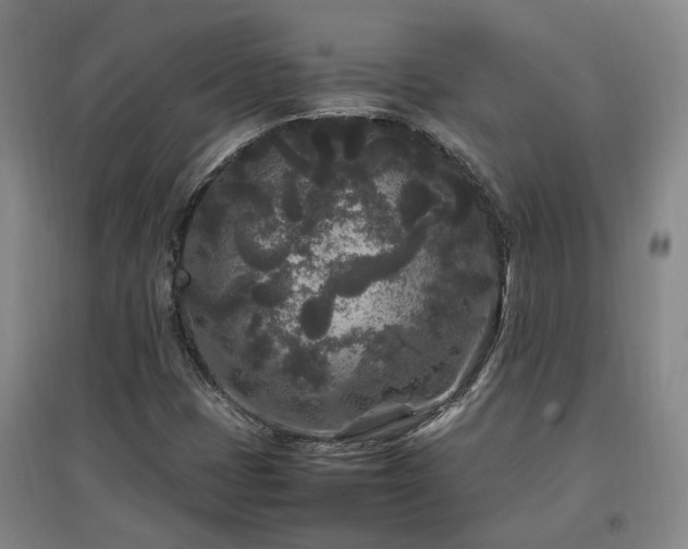 X0000097501401200802221434