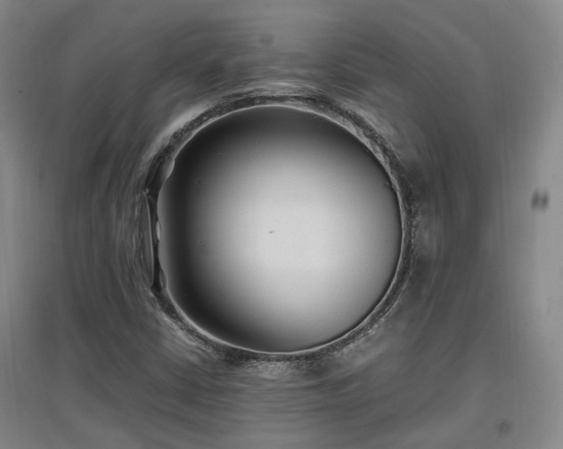 X0000097501402200802221434