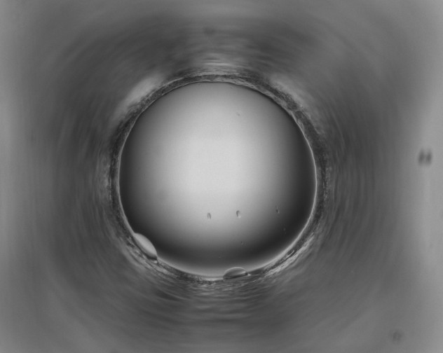 X0000097501403200802221434