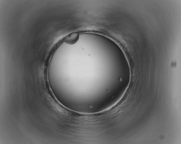 X0000097501404200802221434
