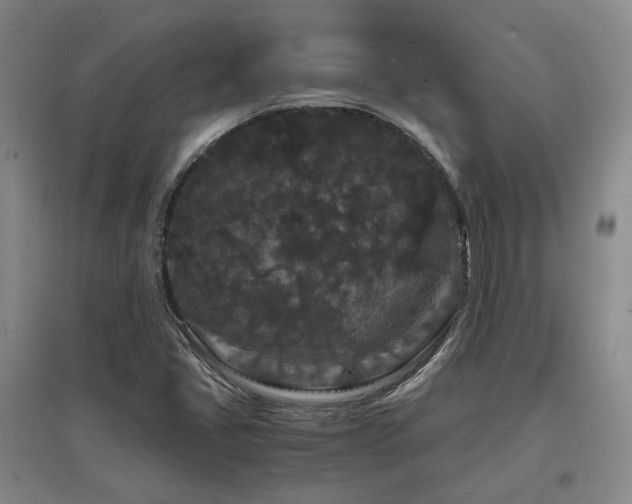 X0000097501405200802221434