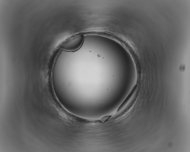 X0000097501406200802221434
