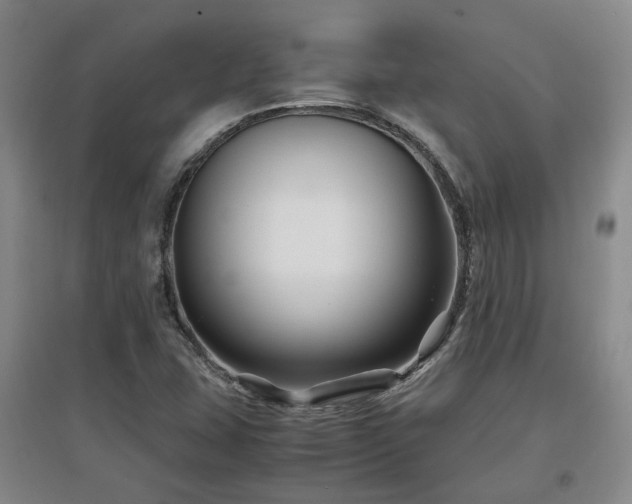 X0000097501407200802221434