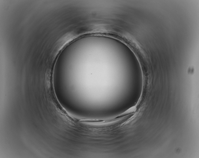 X0000097501409200802221434