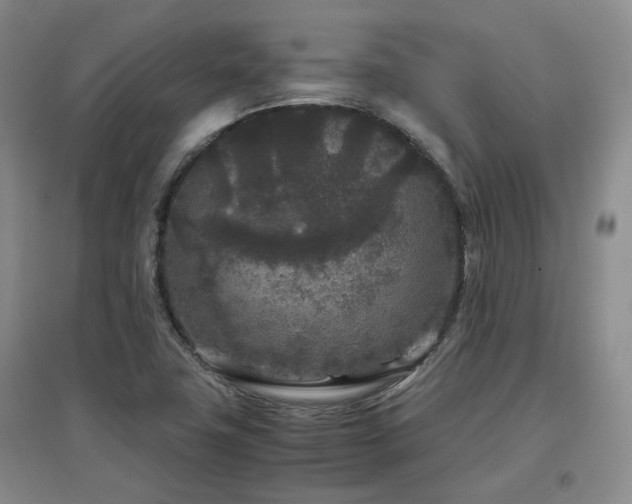 X0000097501411200802221434
