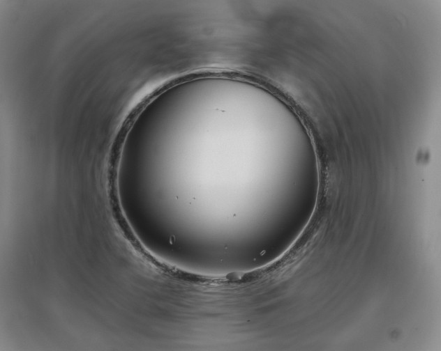 X0000097501412200802221434