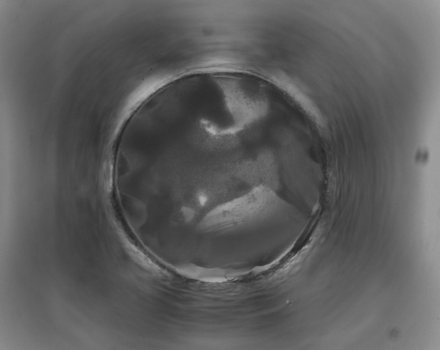 X0000097501413200802221434
