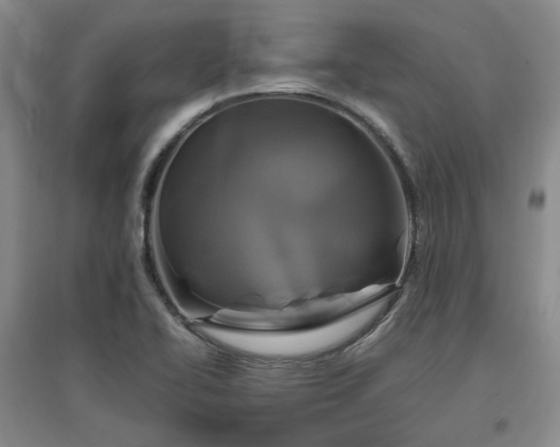 X0000097501414200802221434