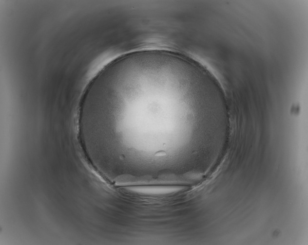 X0000097501415200802221434