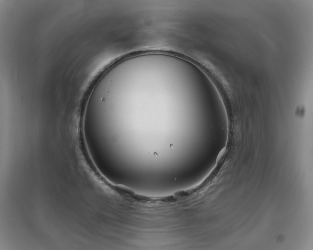 X0000097501416200802221434