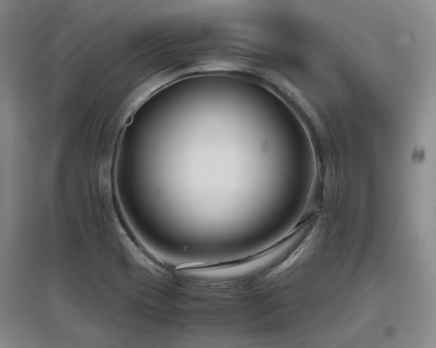 X0000097501417200802221434