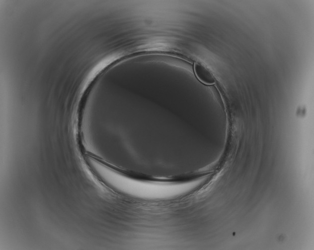 X0000097501418200802221434