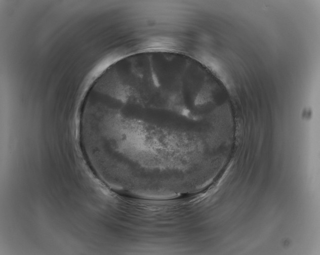 X0000097501419200802221434
