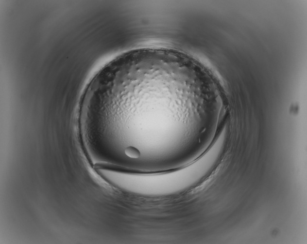 X0000097501421200802221434