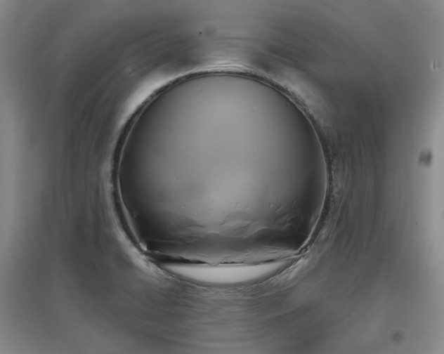 X0000097501422200802221434