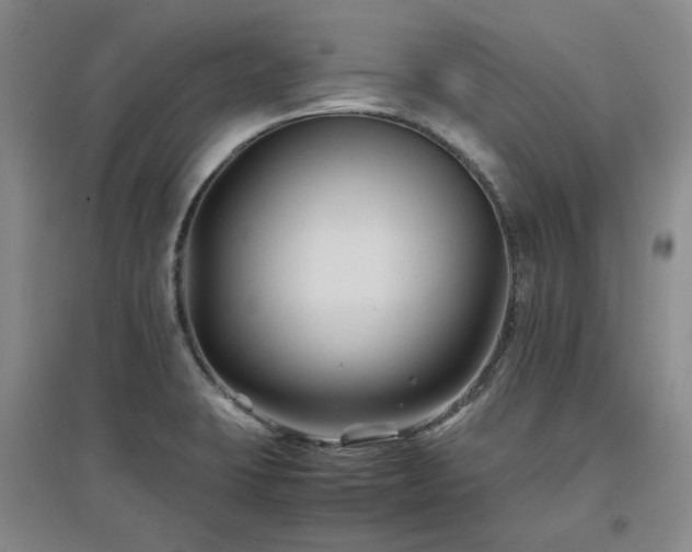 X0000097501423200802221434