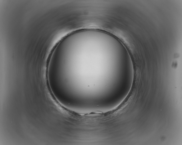 X0000097501424200802221434