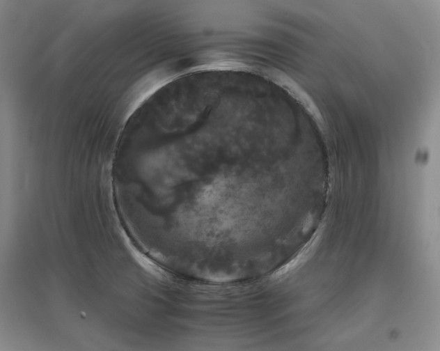 X0000097501425200802221434