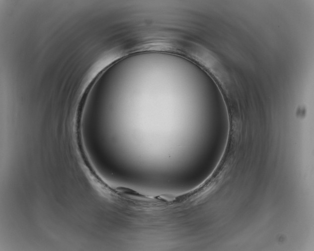 X0000097501426200802221434