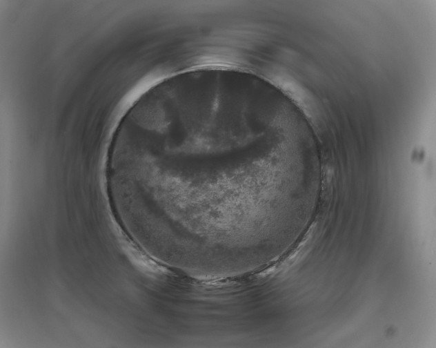 X0000097501427200802221434