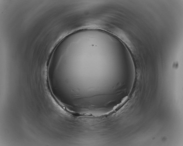 X0000097501428200802221434
