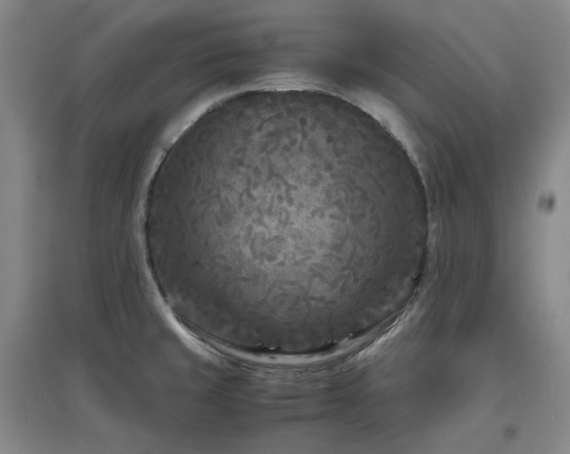 X0000097501429200802221434