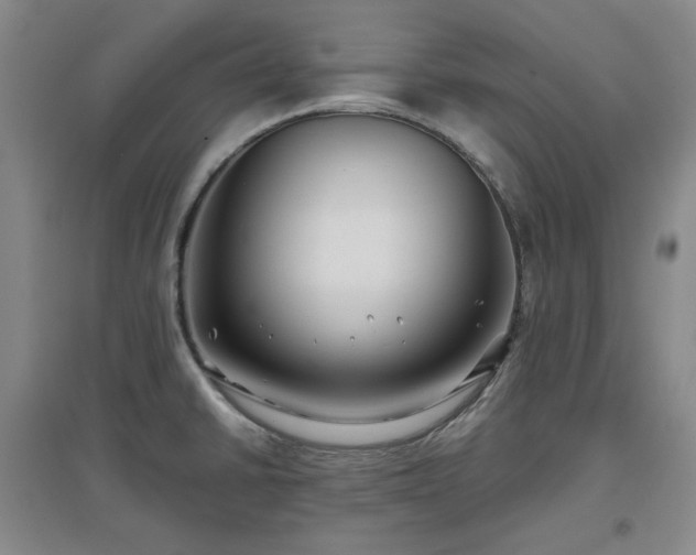 X0000097501430200802221434