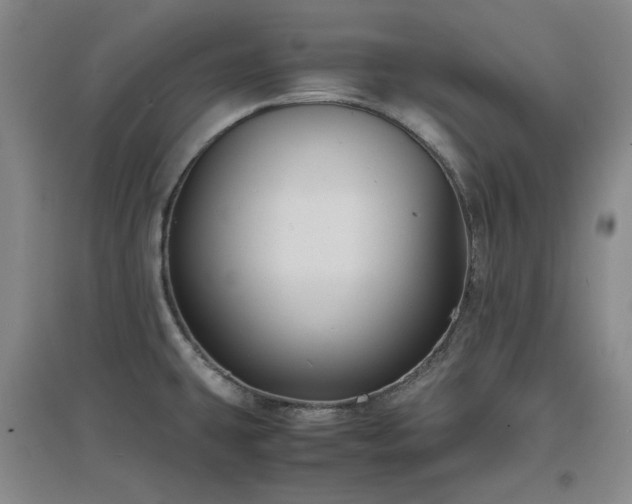 X0000097501431200802221434