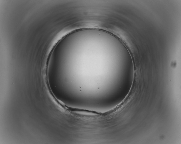 X0000097501432200802221434